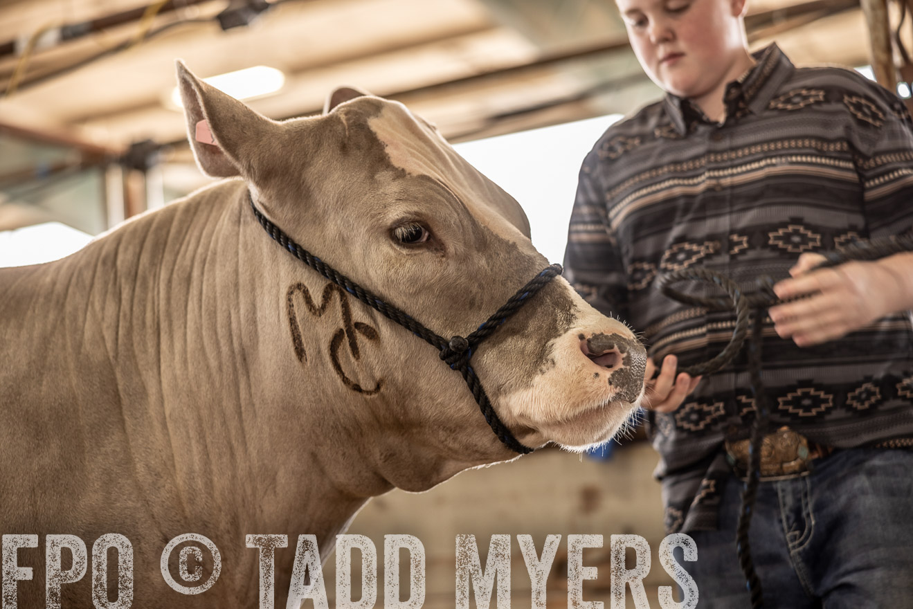 TMyers_PlotTwist_HEB_ConroeTX_April2024-516891