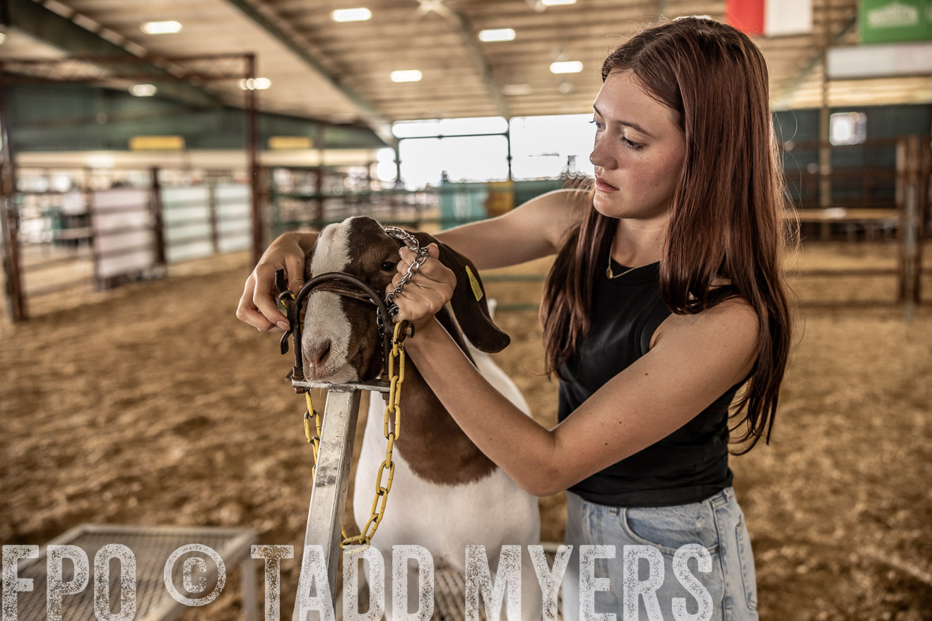 TMyers_PlotTwist_HEB_ConroeTX_April2024-516912