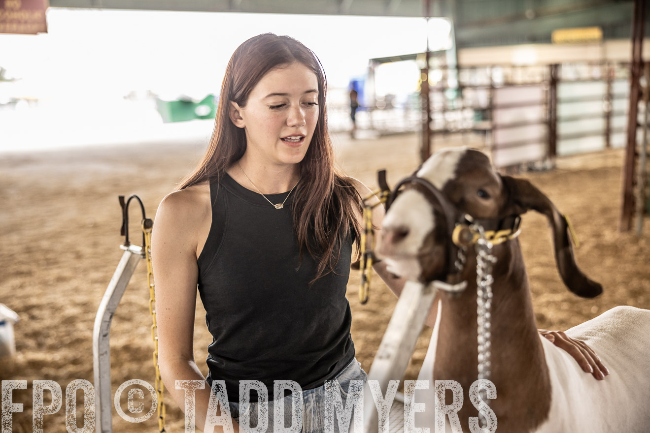 TMyers_PlotTwist_HEB_ConroeTX_April2024-516927