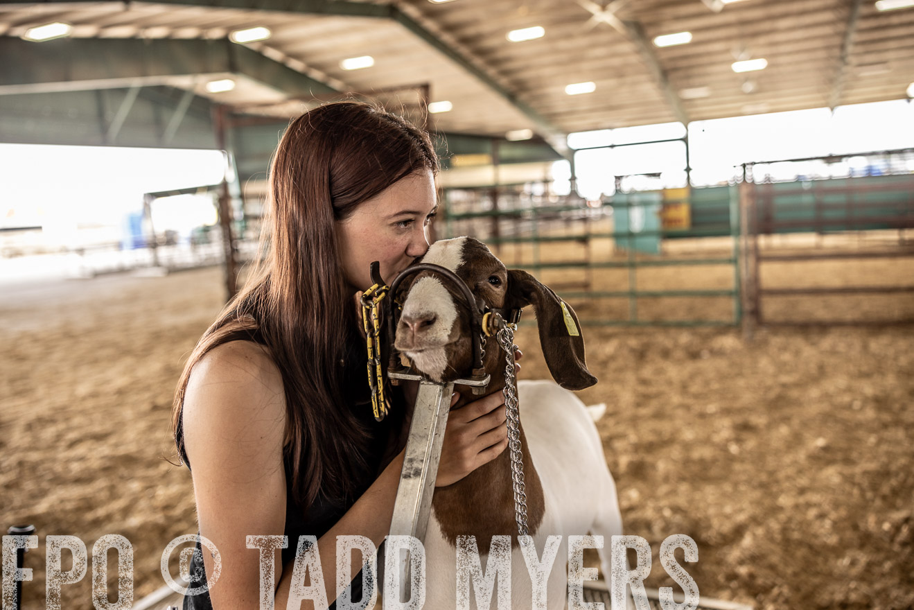 TMyers_PlotTwist_HEB_ConroeTX_April2024-516972