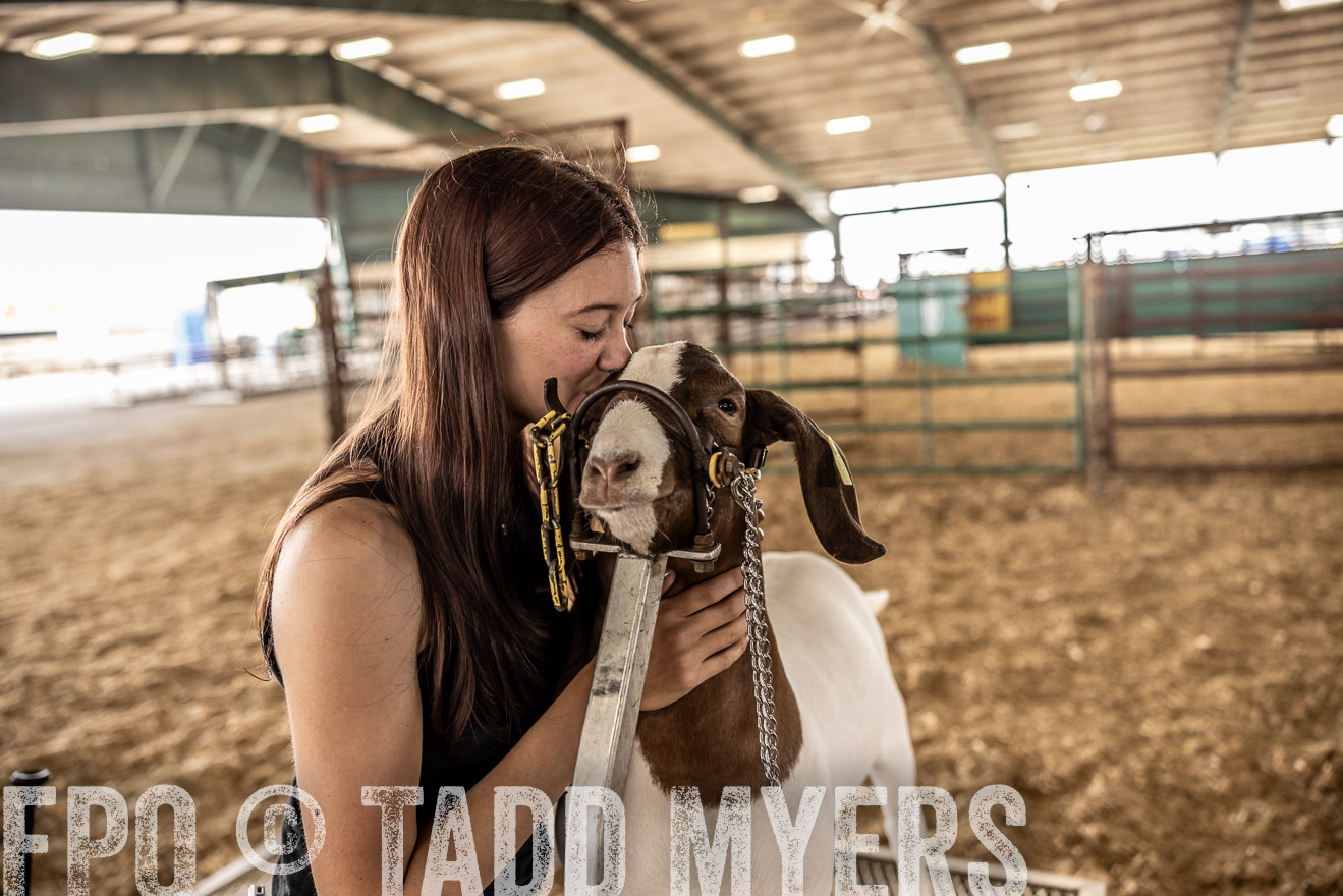 TMyers_PlotTwist_HEB_ConroeTX_April2024-516973