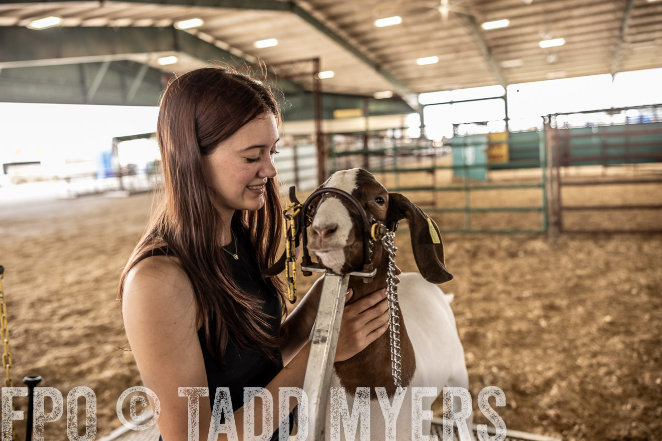 TMyers_PlotTwist_HEB_ConroeTX_April2024-516975