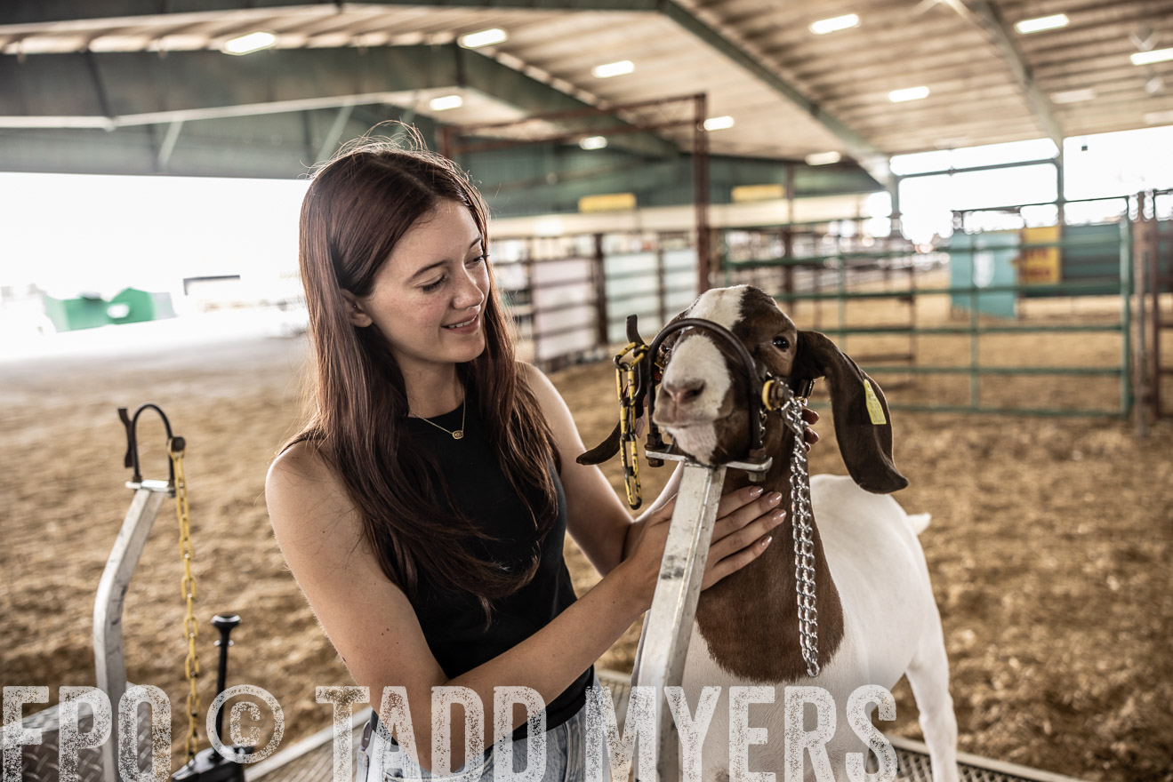 TMyers_PlotTwist_HEB_ConroeTX_April2024-516980