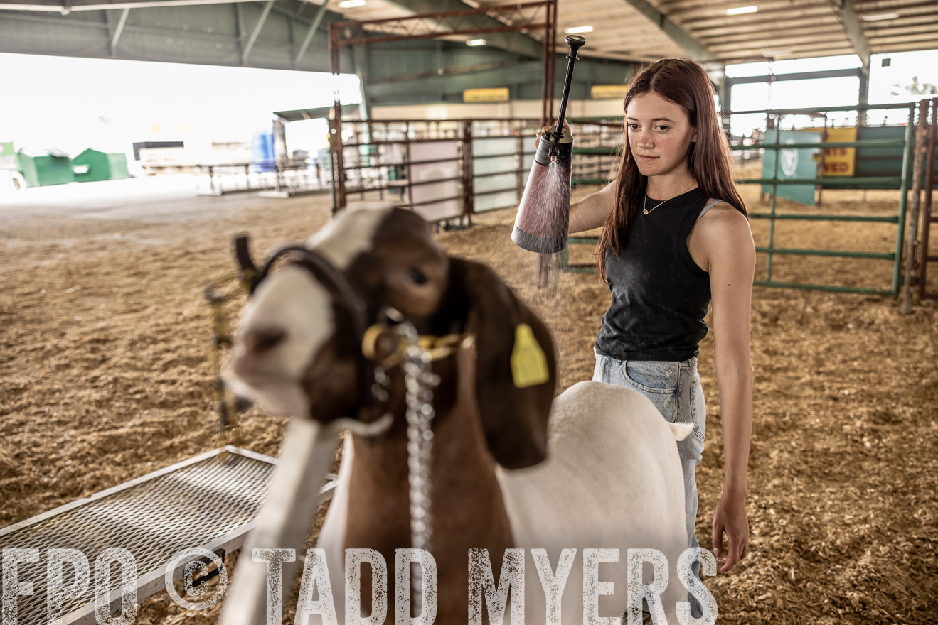 TMyers_PlotTwist_HEB_ConroeTX_April2024-516999