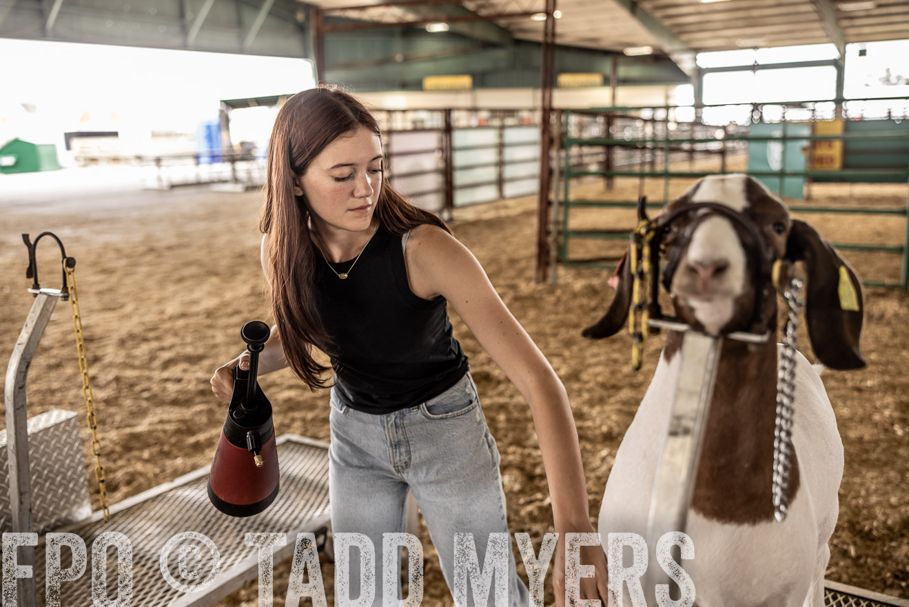 TMyers_PlotTwist_HEB_ConroeTX_April2024-517007