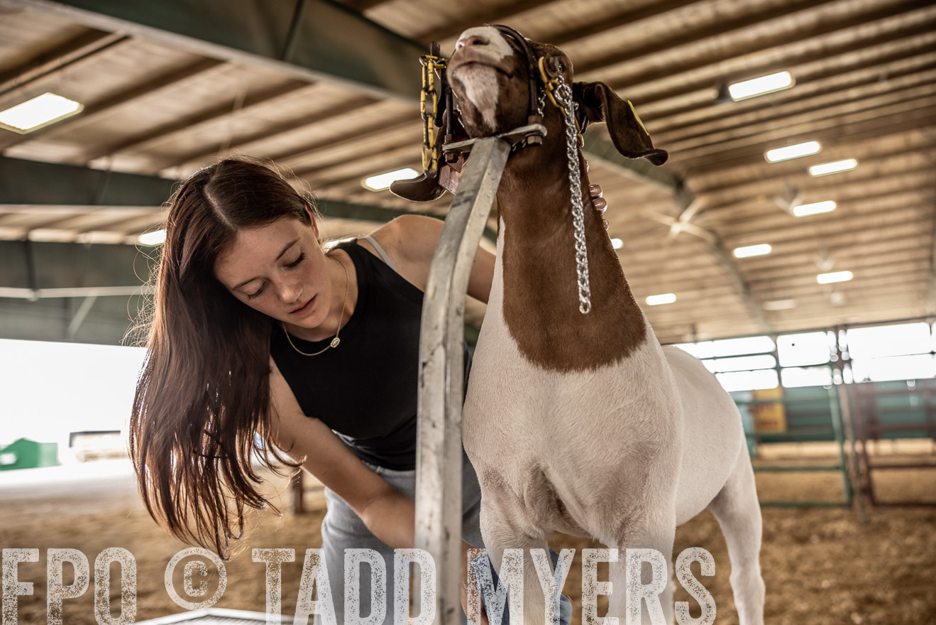 TMyers_PlotTwist_HEB_ConroeTX_April2024-517029