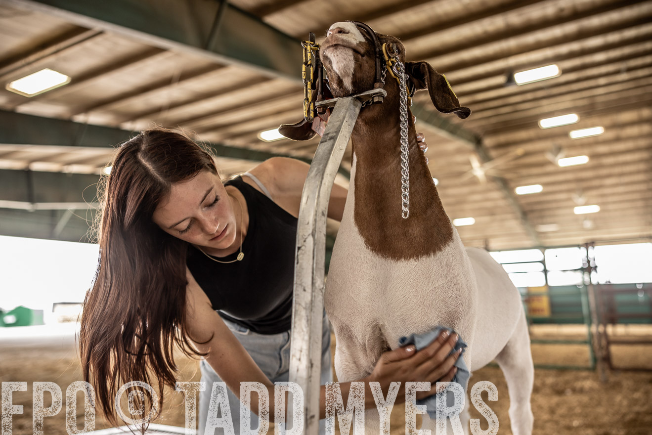 TMyers_PlotTwist_HEB_ConroeTX_April2024-517031