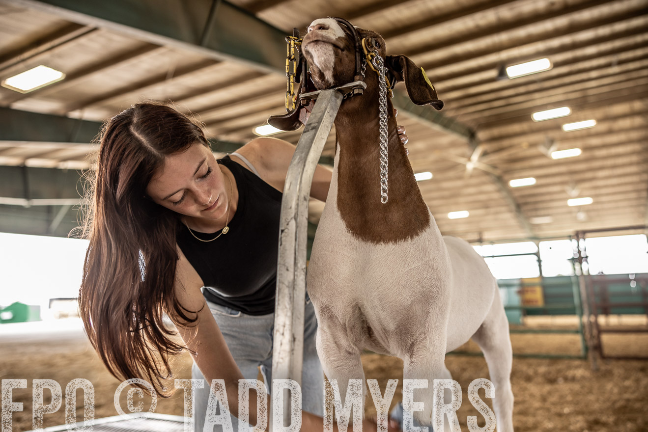 TMyers_PlotTwist_HEB_ConroeTX_April2024-517032