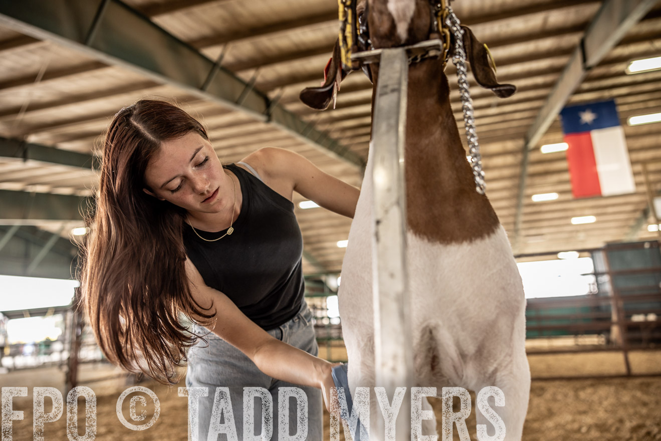 TMyers_PlotTwist_HEB_ConroeTX_April2024-517039
