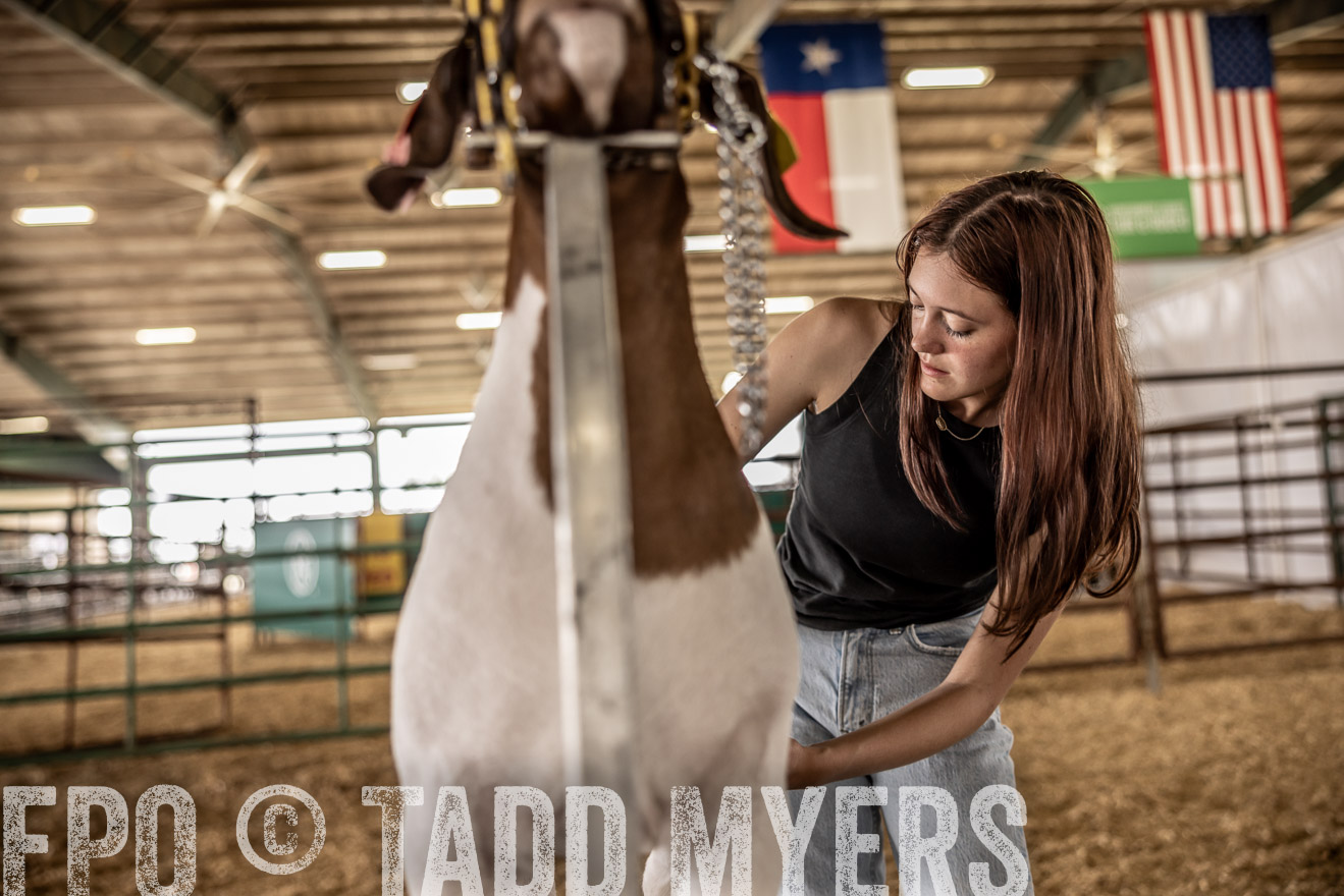 TMyers_PlotTwist_HEB_ConroeTX_April2024-517063