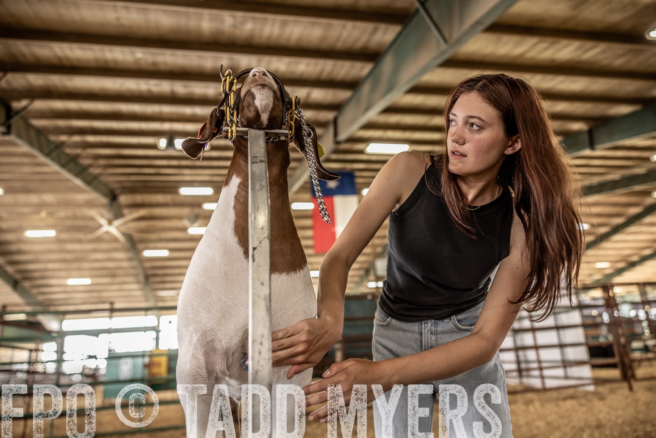 TMyers_PlotTwist_HEB_ConroeTX_April2024-517092