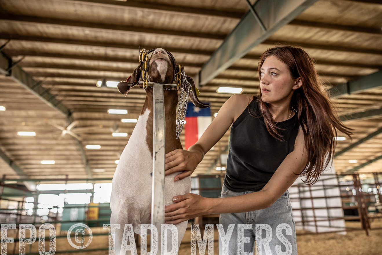 TMyers_PlotTwist_HEB_ConroeTX_April2024-517093