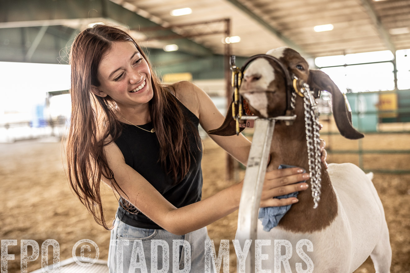 TMyers_PlotTwist_HEB_ConroeTX_April2024-517154