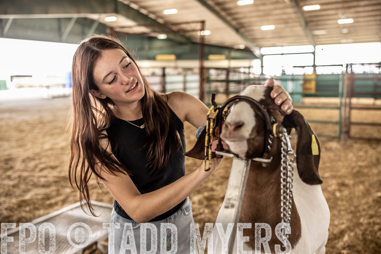 TMyers_PlotTwist_HEB_ConroeTX_April2024-517175