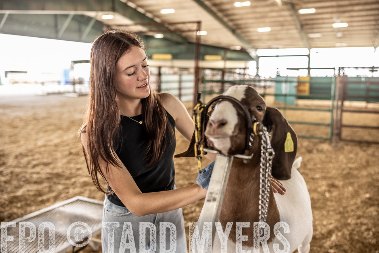 TMyers_PlotTwist_HEB_ConroeTX_April2024-517179