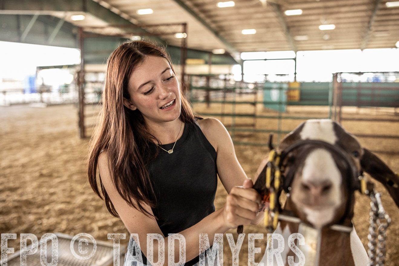 TMyers_PlotTwist_HEB_ConroeTX_April2024-517246