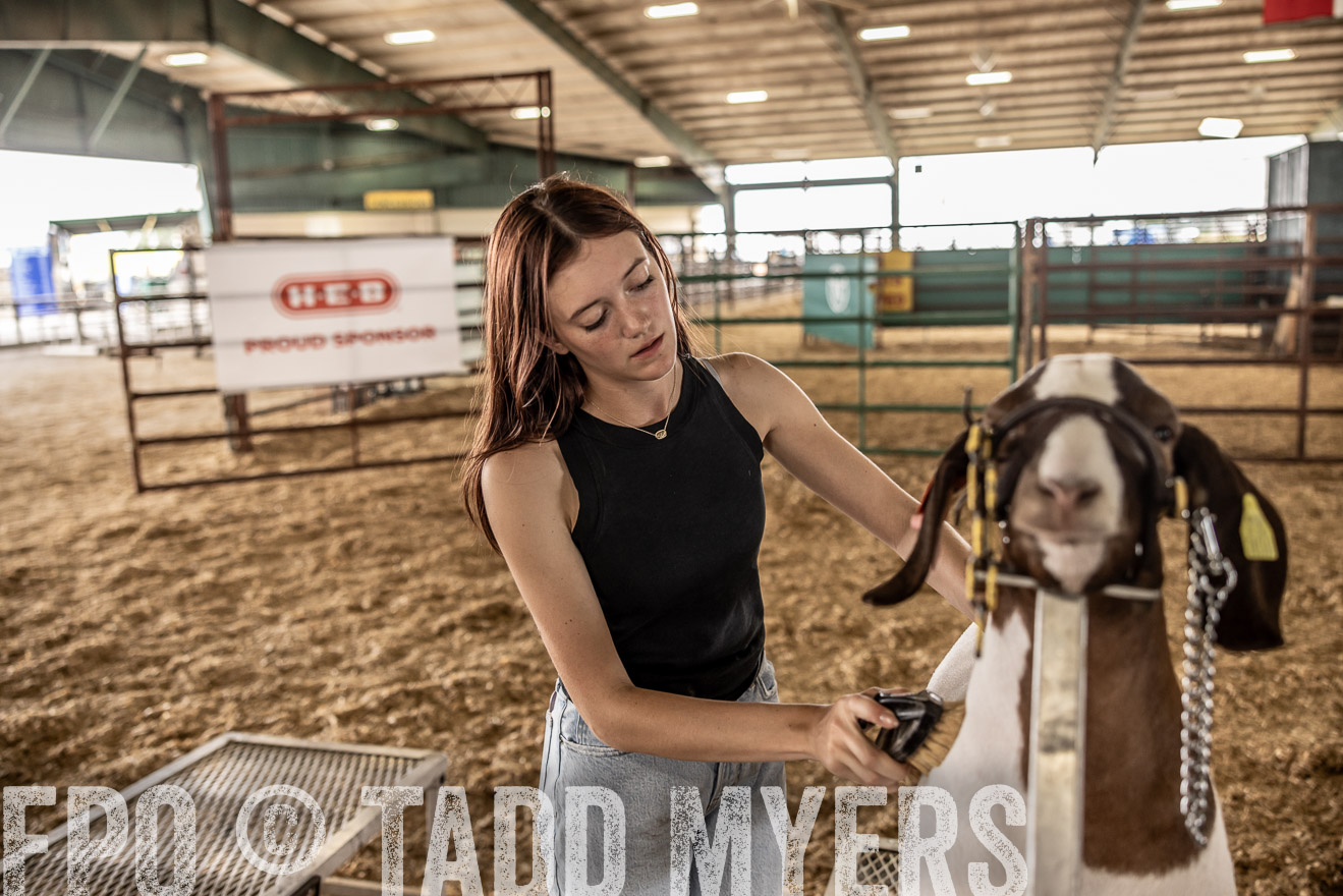 TMyers_PlotTwist_HEB_ConroeTX_April2024-517320
