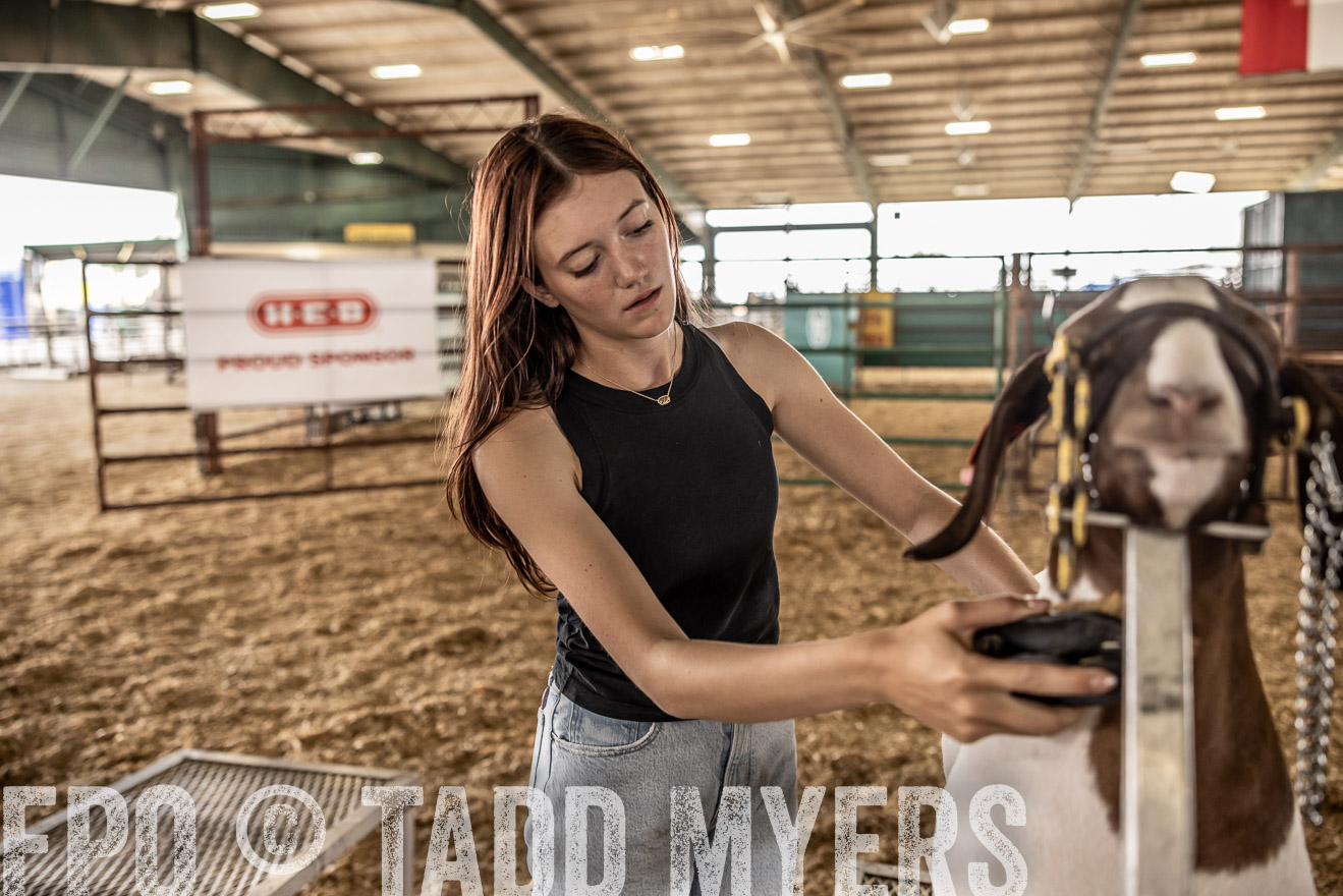TMyers_PlotTwist_HEB_ConroeTX_April2024-517322