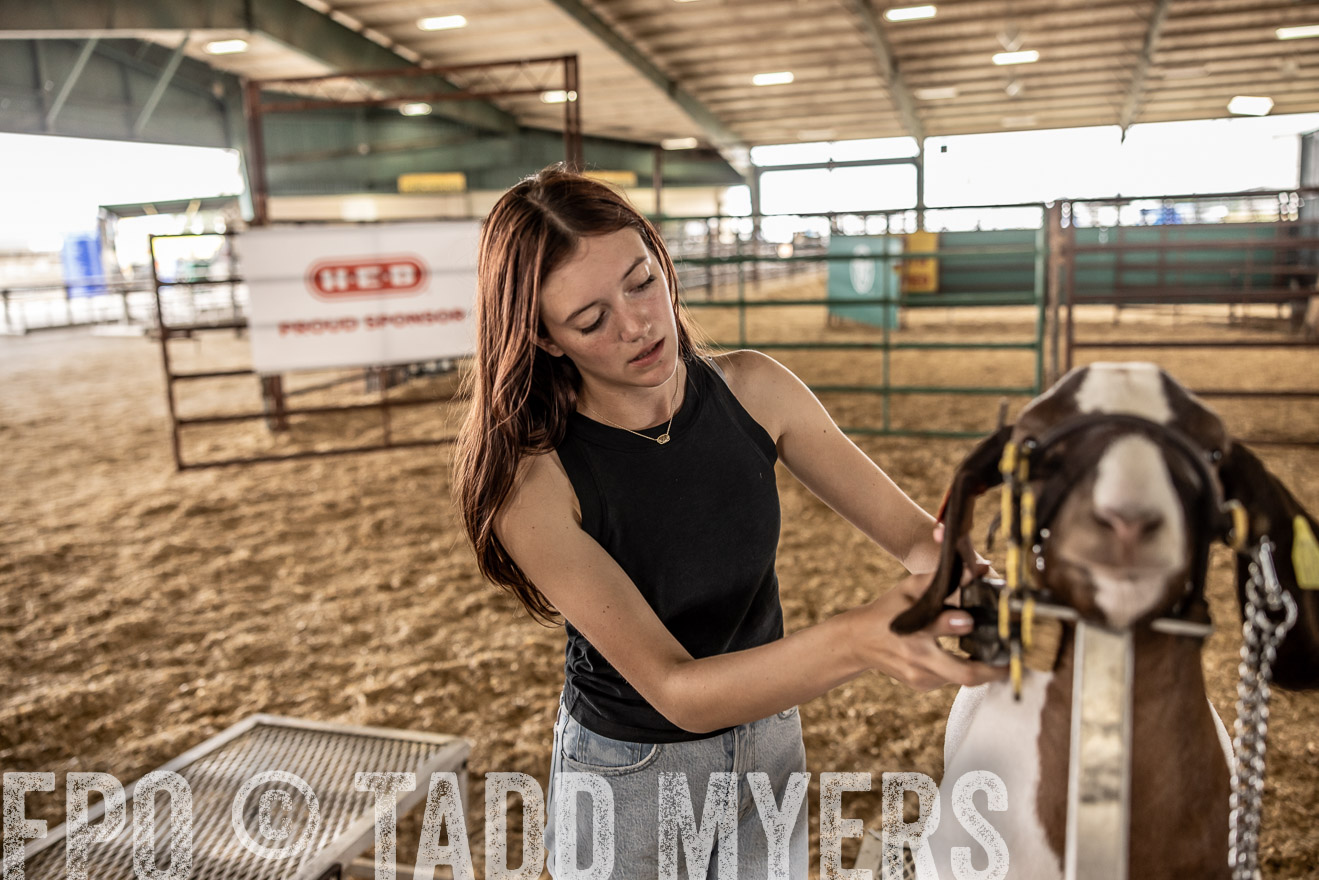 TMyers_PlotTwist_HEB_ConroeTX_April2024-517323