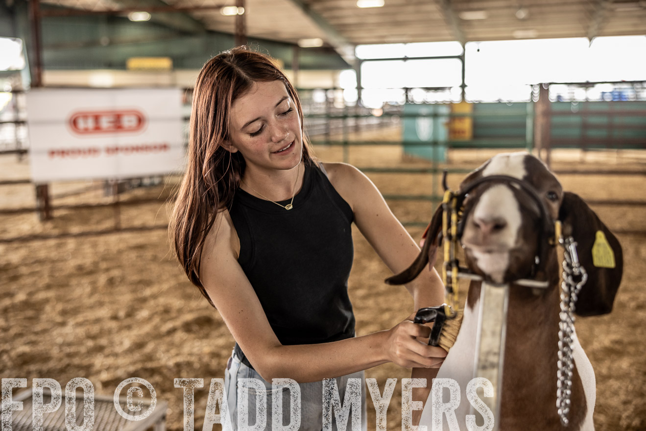 TMyers_PlotTwist_HEB_ConroeTX_April2024-517332