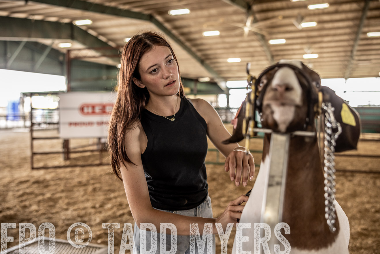 TMyers_PlotTwist_HEB_ConroeTX_April2024-517347