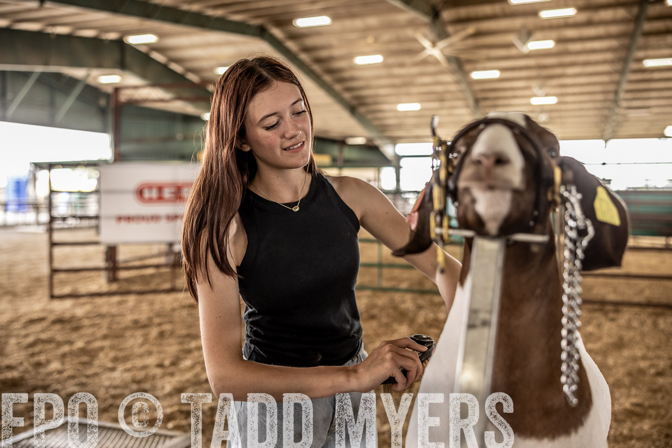TMyers_PlotTwist_HEB_ConroeTX_April2024-517350