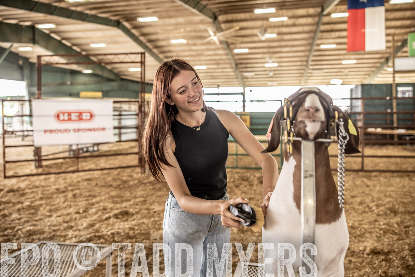 TMyers_PlotTwist_HEB_ConroeTX_April2024-517384