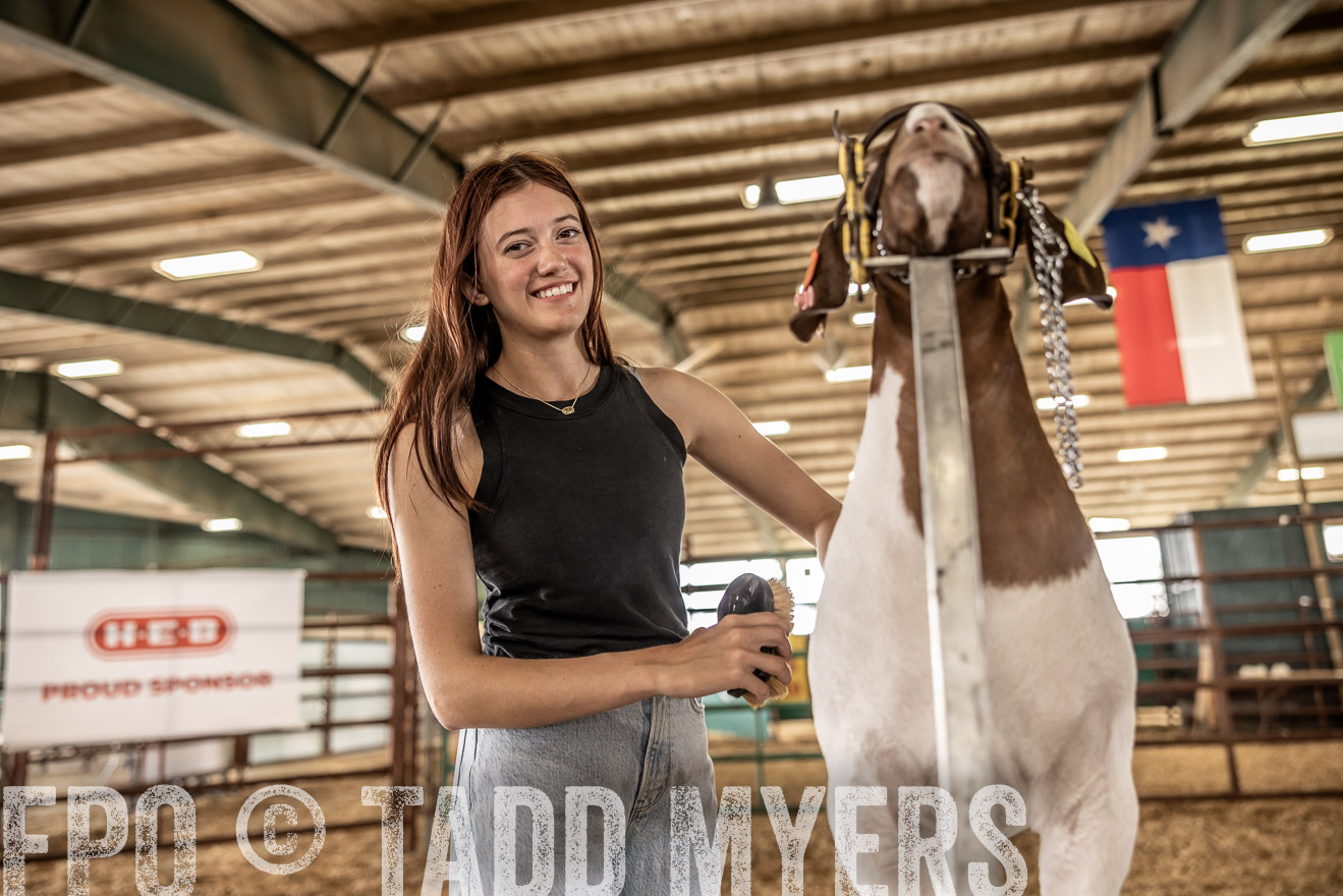 TMyers_PlotTwist_HEB_ConroeTX_April2024-517407