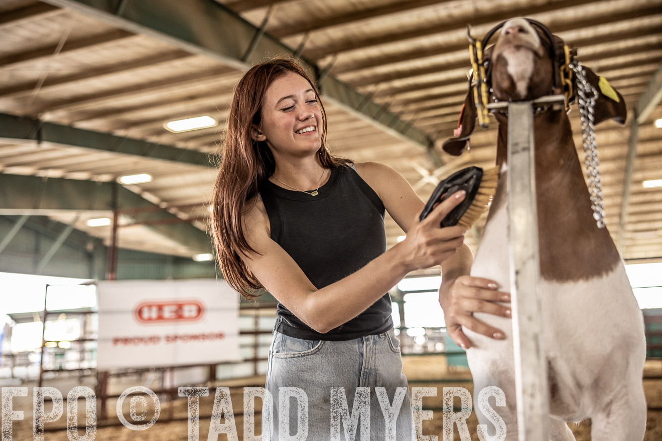 TMyers_PlotTwist_HEB_ConroeTX_April2024-517420