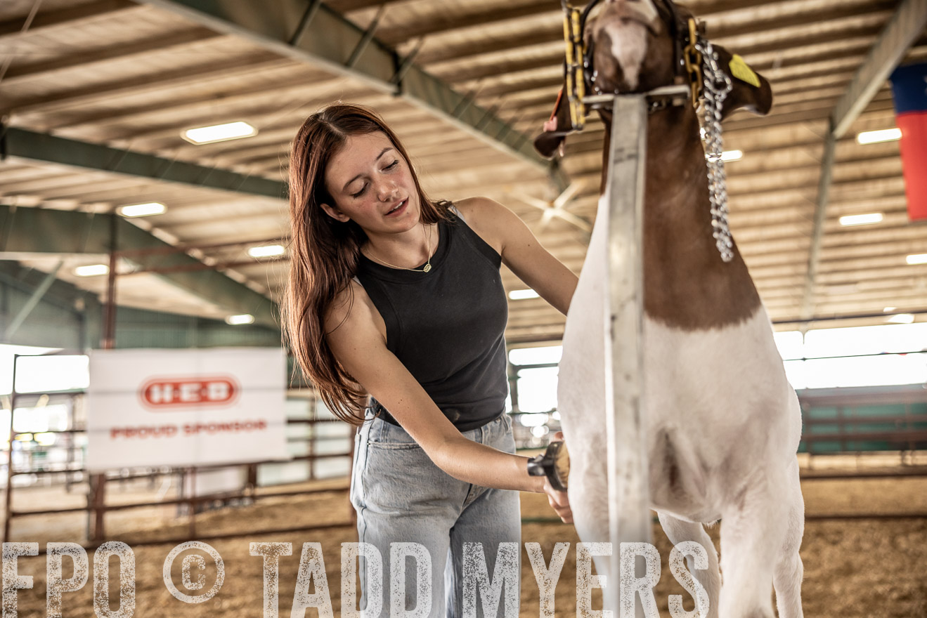 TMyers_PlotTwist_HEB_ConroeTX_April2024-517425