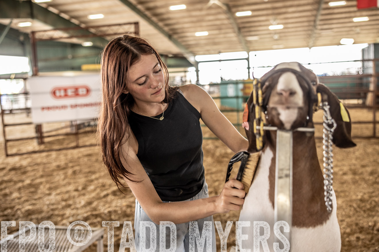 TMyers_PlotTwist_HEB_ConroeTX_April2024-517442