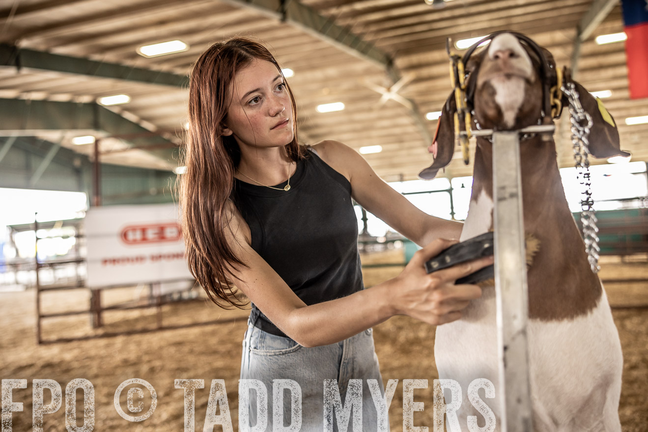 TMyers_PlotTwist_HEB_ConroeTX_April2024-517447