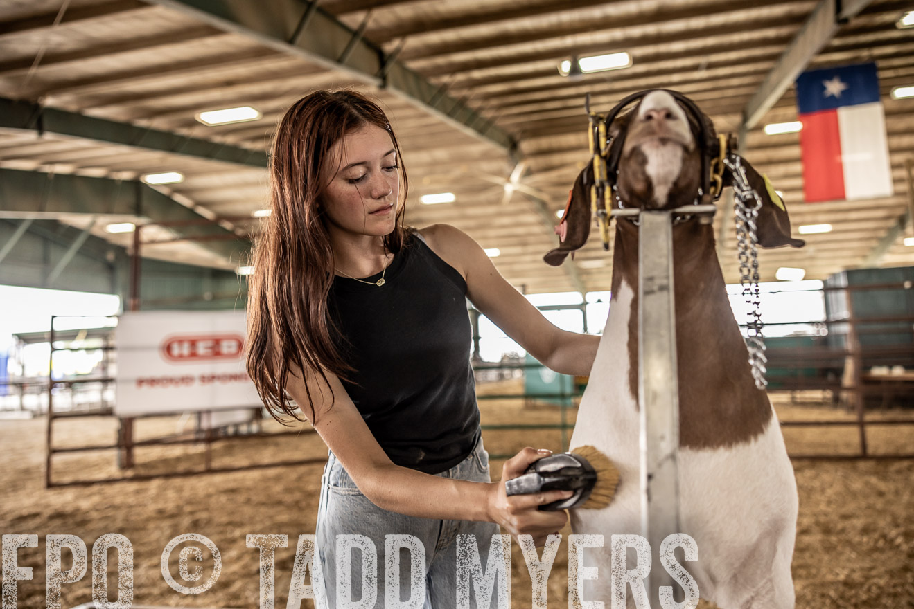 TMyers_PlotTwist_HEB_ConroeTX_April2024-517450