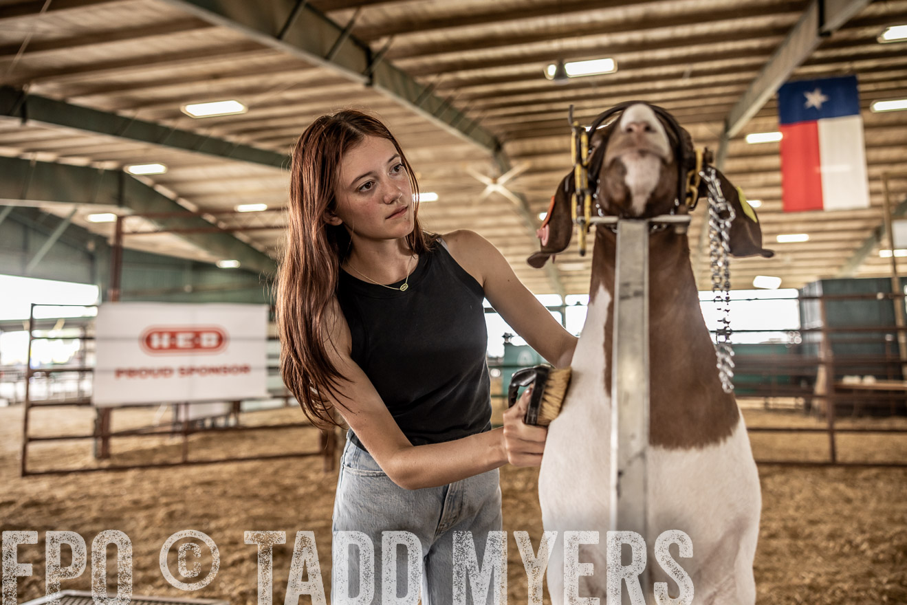 TMyers_PlotTwist_HEB_ConroeTX_April2024-517453