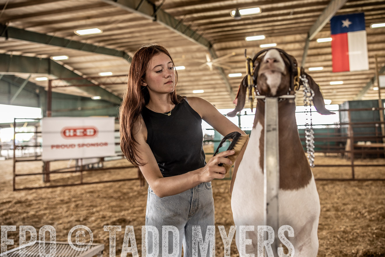 TMyers_PlotTwist_HEB_ConroeTX_April2024-517463