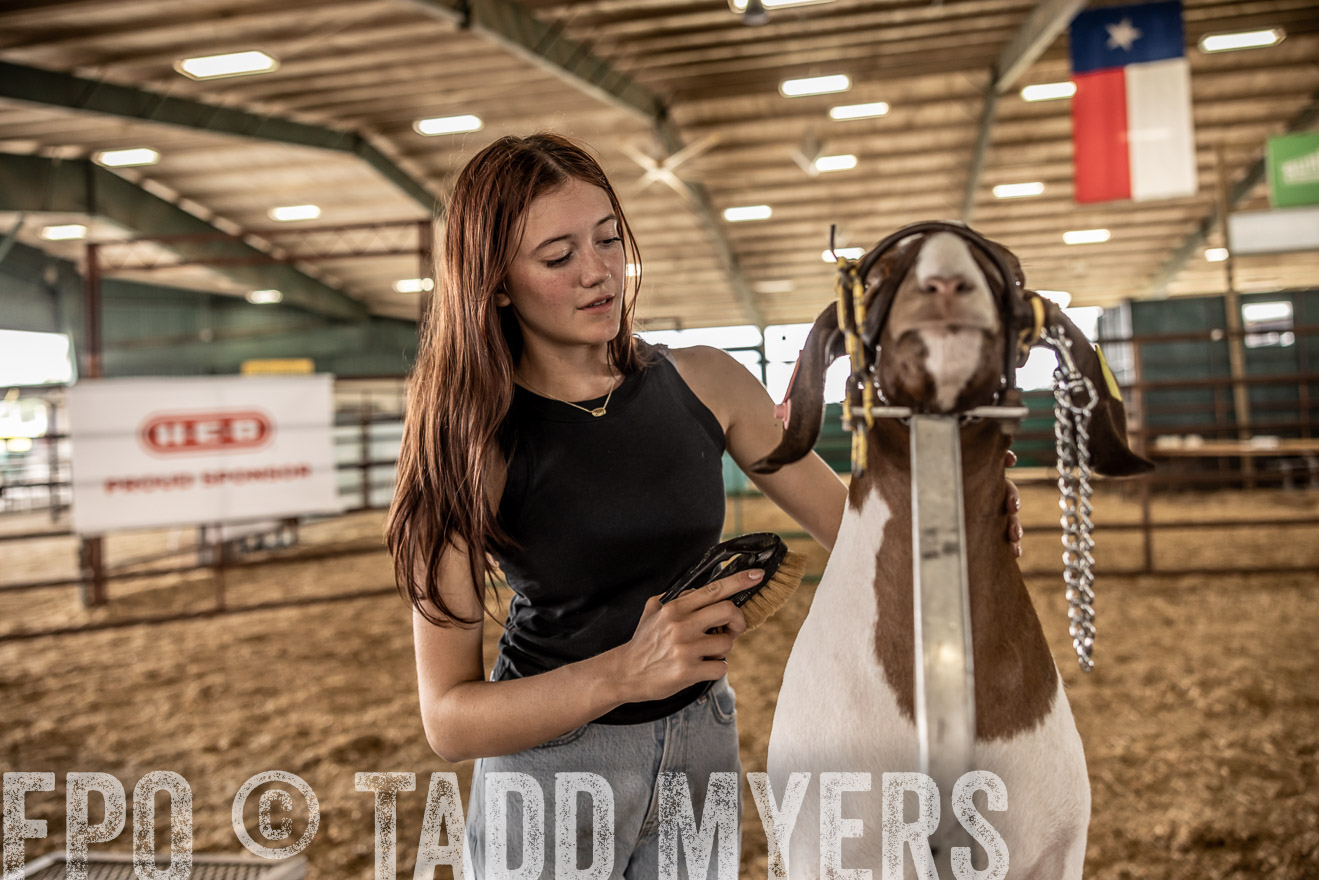 TMyers_PlotTwist_HEB_ConroeTX_April2024-517466
