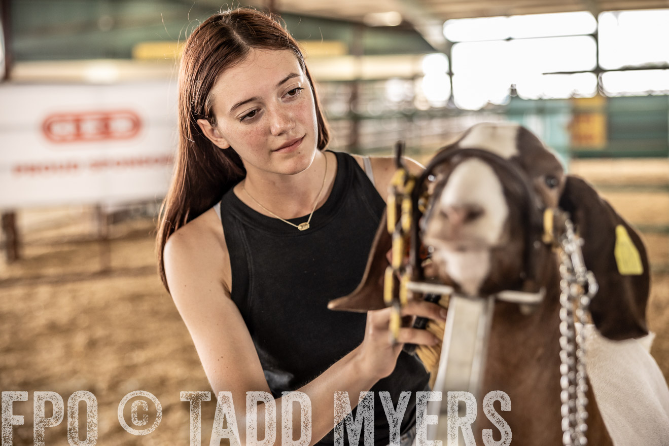 TMyers_PlotTwist_HEB_ConroeTX_April2024-517517