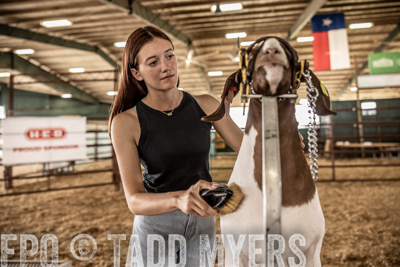 TMyers_PlotTwist_HEB_ConroeTX_April2024-517521