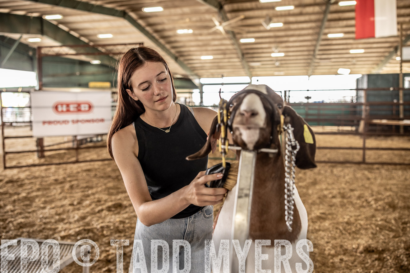 TMyers_PlotTwist_HEB_ConroeTX_April2024-517526