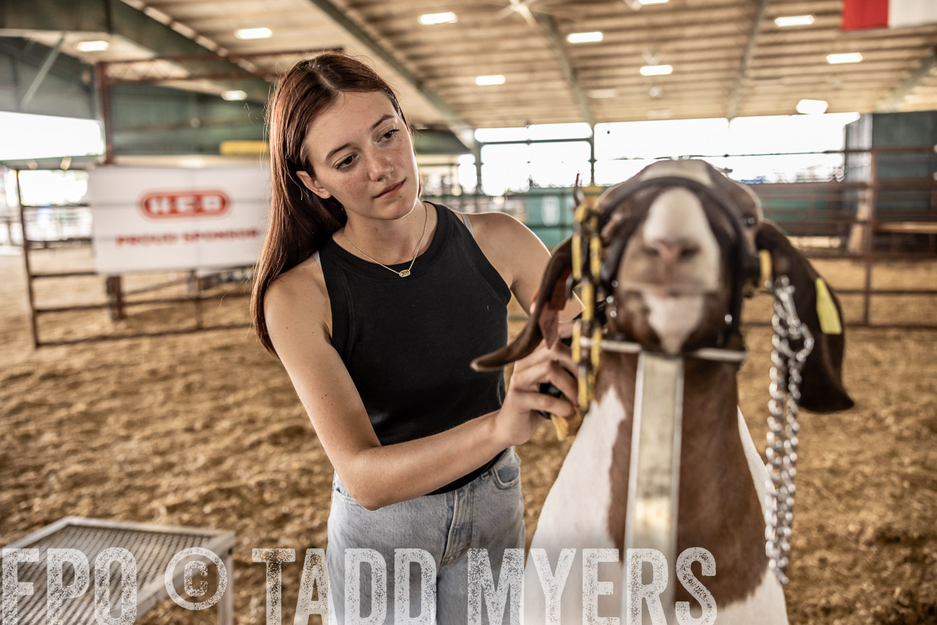 TMyers_PlotTwist_HEB_ConroeTX_April2024-517532