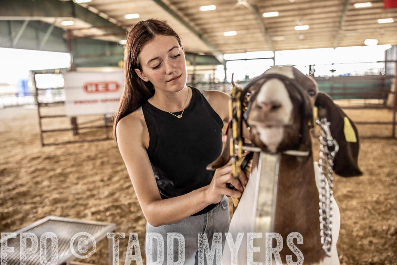 TMyers_PlotTwist_HEB_ConroeTX_April2024-517536
