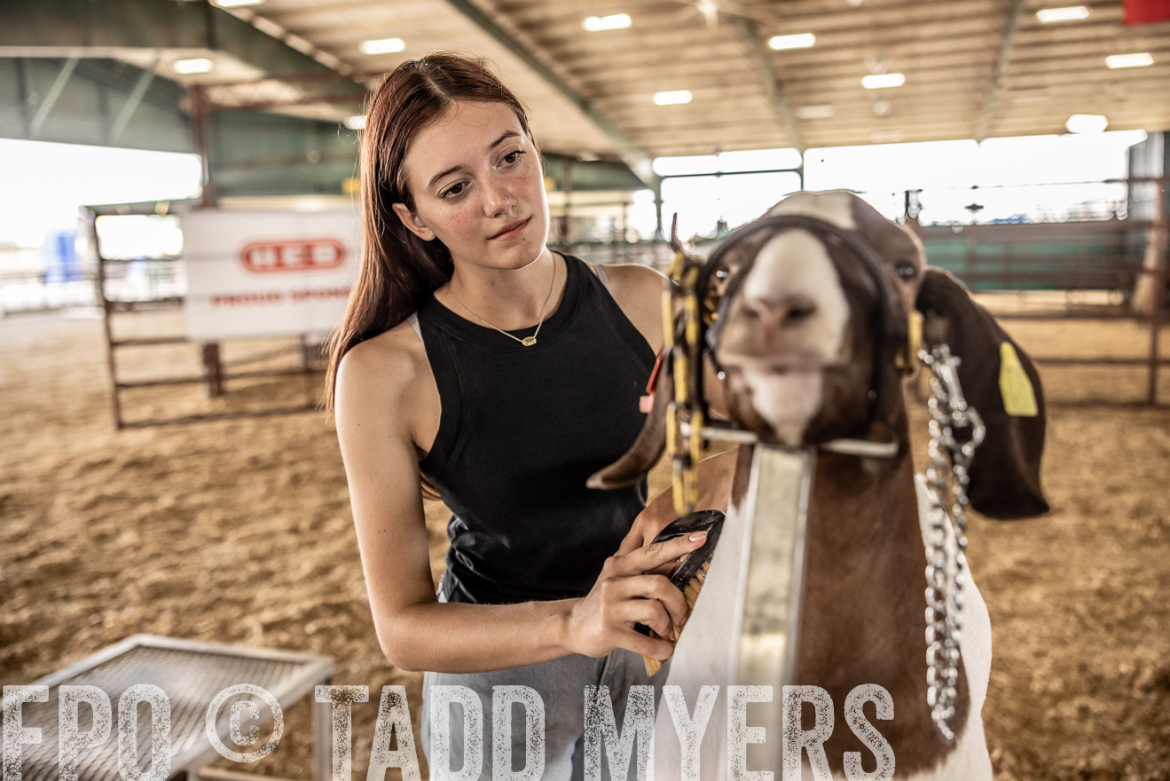 TMyers_PlotTwist_HEB_ConroeTX_April2024-517538