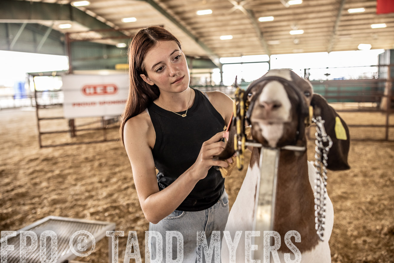 TMyers_PlotTwist_HEB_ConroeTX_April2024-517539