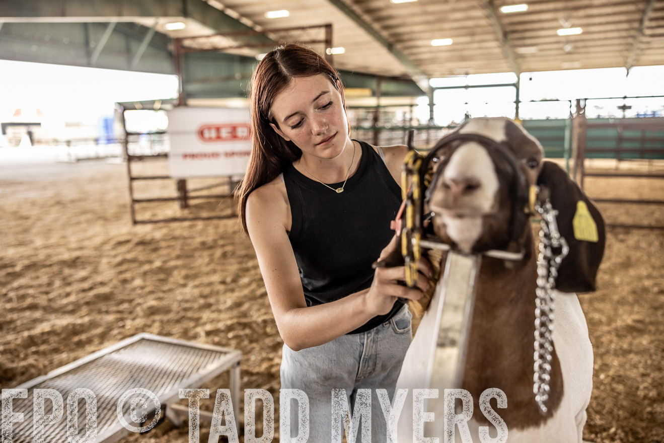 TMyers_PlotTwist_HEB_ConroeTX_April2024-517559
