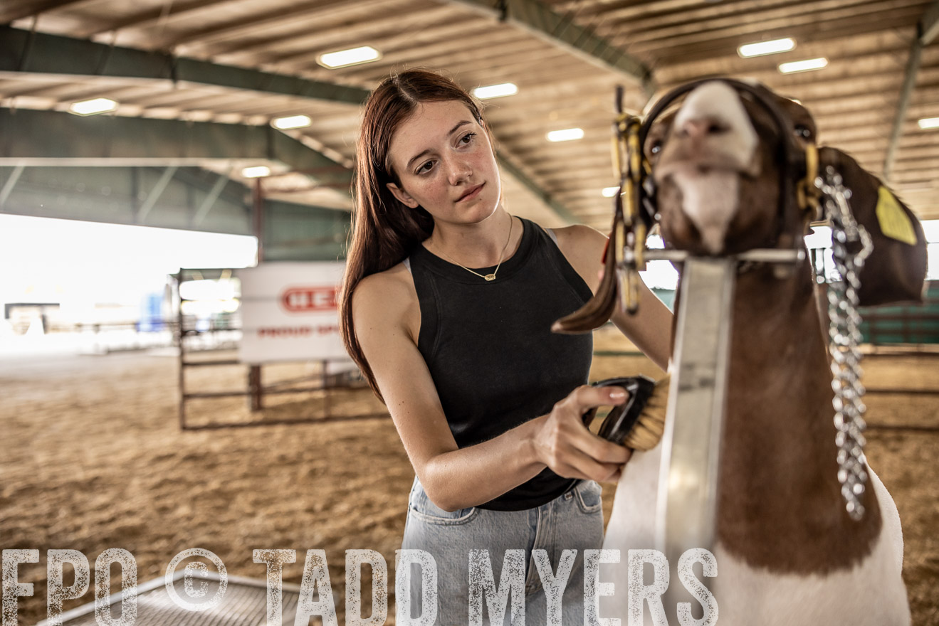 TMyers_PlotTwist_HEB_ConroeTX_April2024-517568