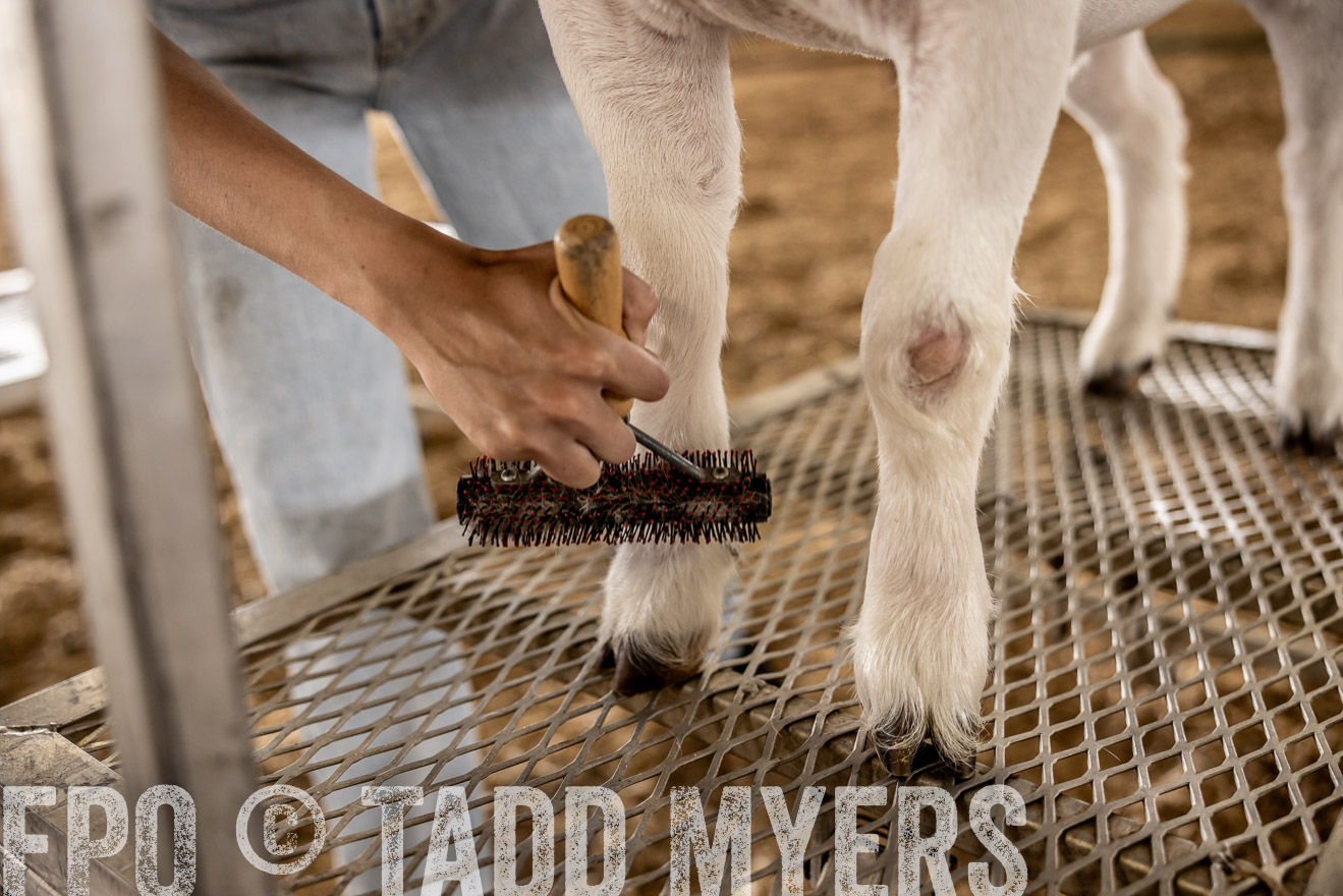 TMyers_PlotTwist_HEB_ConroeTX_April2024-517586