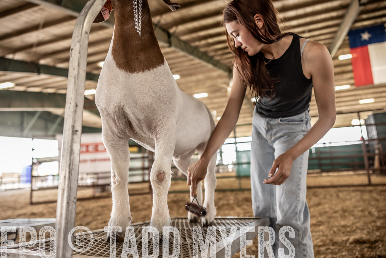 TMyers_PlotTwist_HEB_ConroeTX_April2024-517599