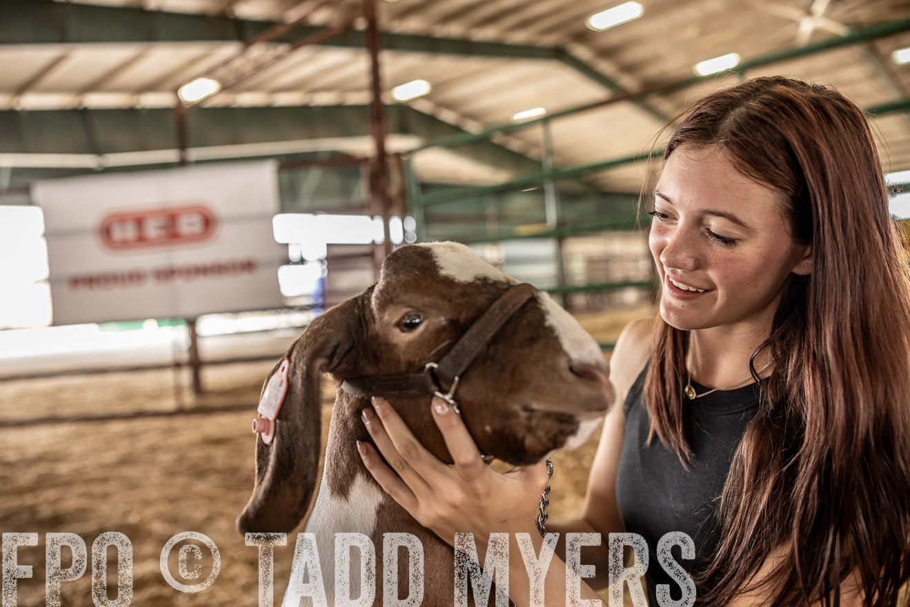 TMyers_PlotTwist_HEB_ConroeTX_April2024-517621