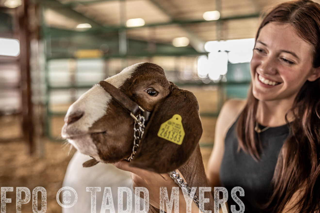 TMyers_PlotTwist_HEB_ConroeTX_April2024-517627