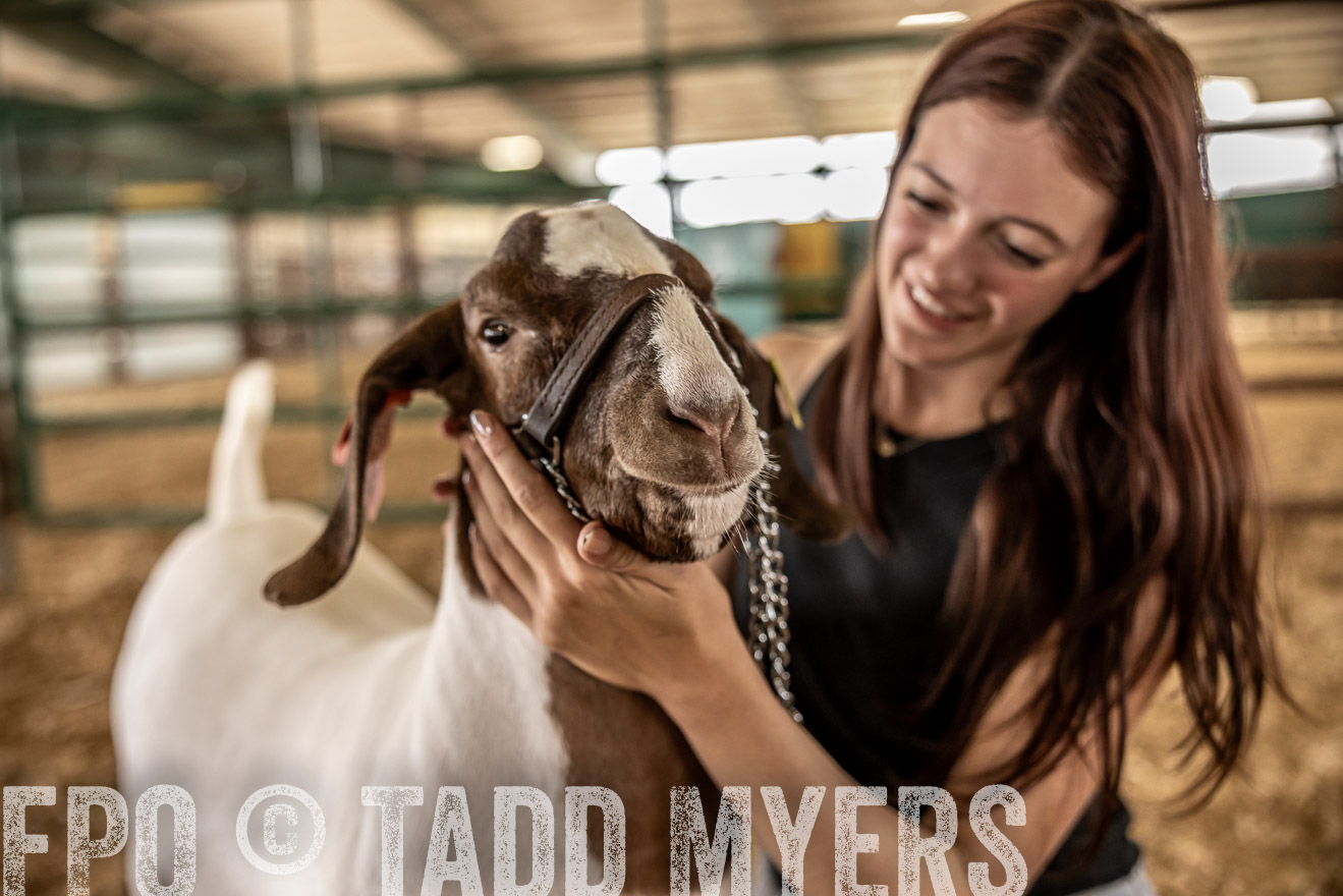 TMyers_PlotTwist_HEB_ConroeTX_April2024-517632